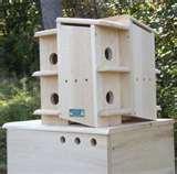 images of Bird Feeders For Apartments