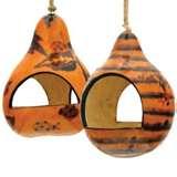 Bird Feeder Shade images