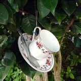 Bird Feeder Saucers pictures Bird Feeder Saucers pictures