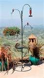 images of Bird Feeders For Apartments images of Bird Feeders For Apartments