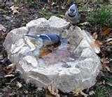 images of Bird Feeders Cameras images of Bird Feeders Cameras