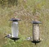 photos of Bird Feeders For Apartments