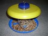 Bird Feeder Saucers pictures Bird Feeder Saucers pictures