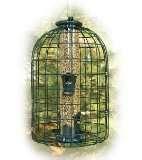 Bird Feeder Electric Fence photos