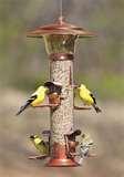 Bird Feeders For Apartments