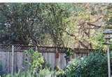 Bird Feeder Electric Fence Bird Feeder Electric Fence