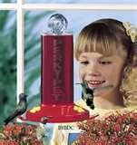 Bird Feeder Hummingbird Nectar images Bird Feeder Hummingbird Nectar images