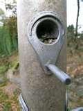 images of Bird Feeder Guards