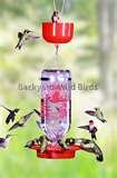 Bird Feeder Hummingbird Nectar photos
