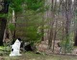 Bird Feeder Guards pictures Bird Feeder Guards pictures