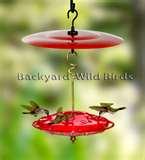 pictures of Bird Feeder Hummingbird Nectar