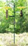 Bird Feeder Guards images Bird Feeder Guards images