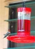 How Humming Bird Feeder Works pictures