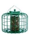 Bird Feeder Bto images