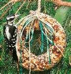 images of Bird Feeder Wreath Suet images of Bird Feeder Wreath Suet