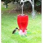 Parasol Bird Feeders Wholesale images Parasol Bird Feeders Wholesale images