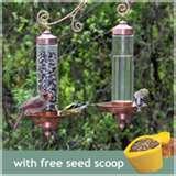 images of Bird Feeders Sip images of Bird Feeders Sip