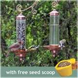 images of Bird Feeders Sip