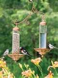Bird Feeders Sip photos Bird Feeders Sip photos