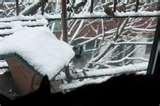 photos of Fire Escape Bird Feeder