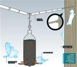 Squirrel Proof Bird Feeders Spinning pictures Squirrel Proof Bird Feeders Spinning pictures