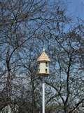 Bird Feeder City photos Bird Feeder City photos