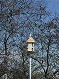 Bird Feeder City photos