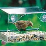 Bird Feeder Uk Buy photos