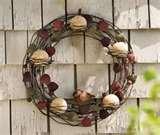 photos of Bird Feeder Wreath Suet photos of Bird Feeder Wreath Suet