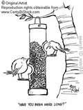 images of Bird Feeder Films images of Bird Feeder Films