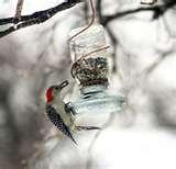 pictures of Upcycled Bird Feeders