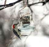 pictures of Upcycled Bird Feeders pictures of Upcycled Bird Feeders