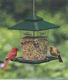 Bird Feeder Titmice images Bird Feeder Titmice images