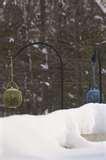 Bird Feeders Cats Bird Feeders Cats