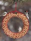Bird Feeder Wreath Suet pictures Bird Feeder Wreath Suet pictures