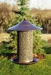 Bird Feeders Tampa Fl Bird Feeders Tampa Fl