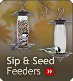 Bird Feeders Sip pictures