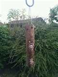 Bird Feeder Films Bird Feeder Films