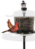 Squirrel Proof Bird Feeders Spinning pictures