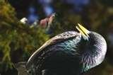 photos of Bird Feeder Films photos of Bird Feeder Films