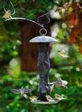 images of Bird Feeder City