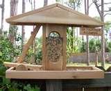 Bird Feeders Cats pictures Bird Feeders Cats pictures