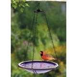 Glass Bird Feeder Wholesale photos