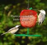 Bird Feeders Purple Finches images Bird Feeders Purple Finches images