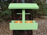 pictures of Bird Feeder Of Jelly