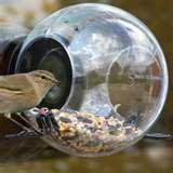 Plastic Bird Feeder Cups pictures Plastic Bird Feeder Cups pictures
