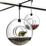 photos of Bird Feeders Aviaries photos of Bird Feeders Aviaries