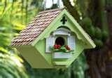 images of Bird Feeders Unique Design