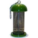 photos of Bird Feeder England photos of Bird Feeder England