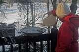 Bird Feeders Advice photos Bird Feeders Advice photos